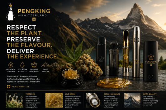 Why We Started PengKing Switzerland