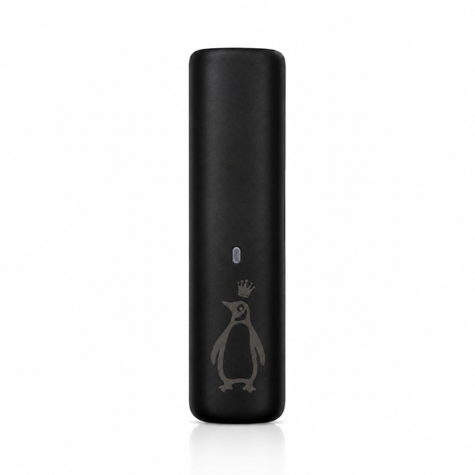 PengKing Eazie Pod Battery – Powered by CCell